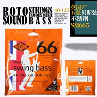 Five String SM665 (40-125)