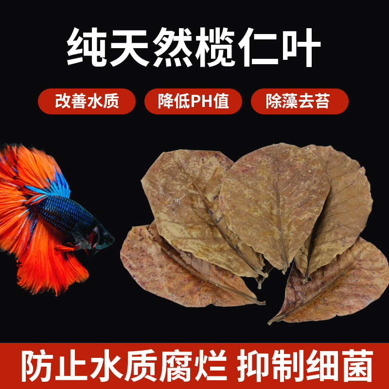 Aquarium natural olive kernel leaves Reduce the PH value of the fish tank Aquarium acid reduction regulation Improve water quality Lazy leaves