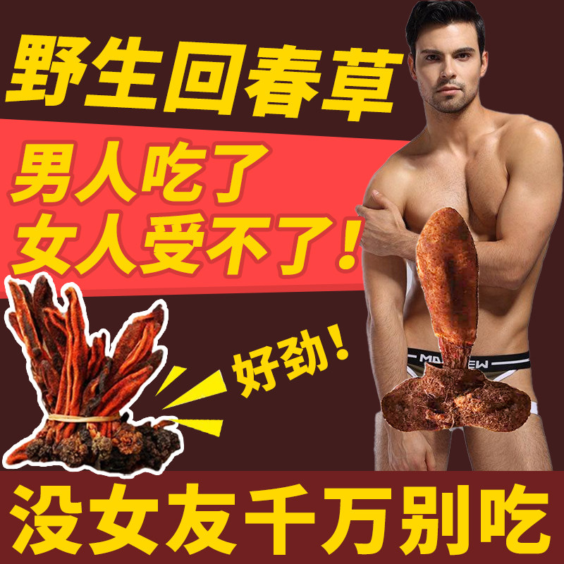 Rejuvenation grass wild Dingtianzhu male wine nourishing Cynomorium Yunnan not old grass cistanche Chinese herbal medicine 500g