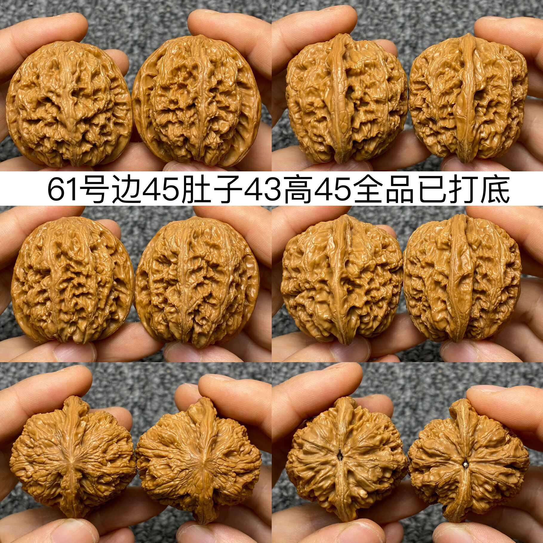 wenwan walnut general Latest Best Selling Praise Recommendation