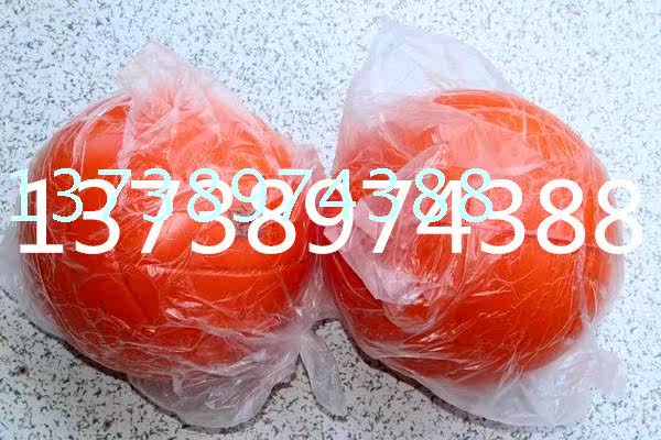 Ballon de volley-ball - Ref 2012481 Image 6