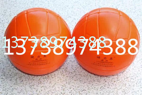 Ballon de volley-ball - Ref 2012481 Image 7
