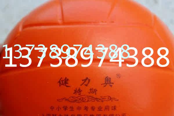 Ballon de volley-ball - Ref 2012481 Image 12
