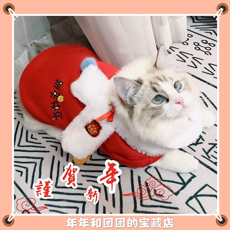 Cute cat and dog New Year Spring Festival clothes pet festive two-legged clothes autumn and winter warm Teddy small dog cat universal