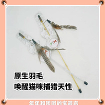 Popular cat toy fairy teasing cat plume bells hand grinding teeth resistant artifact pet fishing rod