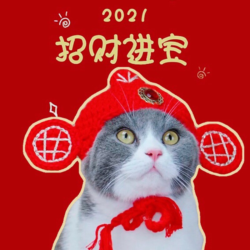 Pet lucky money into treasure hat handmade woolen knitted cat and dog universal cross-dressing God of wealth hat headgear New Year's clothing headdress