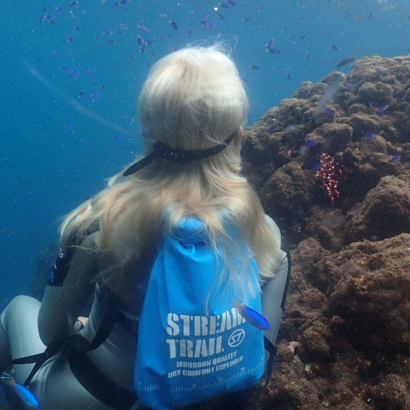 Japan Stream Trail Ultra Light Backpack Waterproof Bag Outdoor Travel Diving Swimming Fitness Dry and Wet