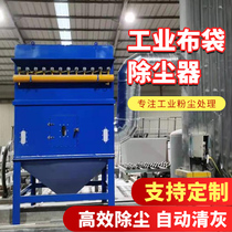 Industrial Dust Remover Environmental Protection Equipment Pulse Cloth Bag Type Dust Removal Equipment Industrial Dust Collector