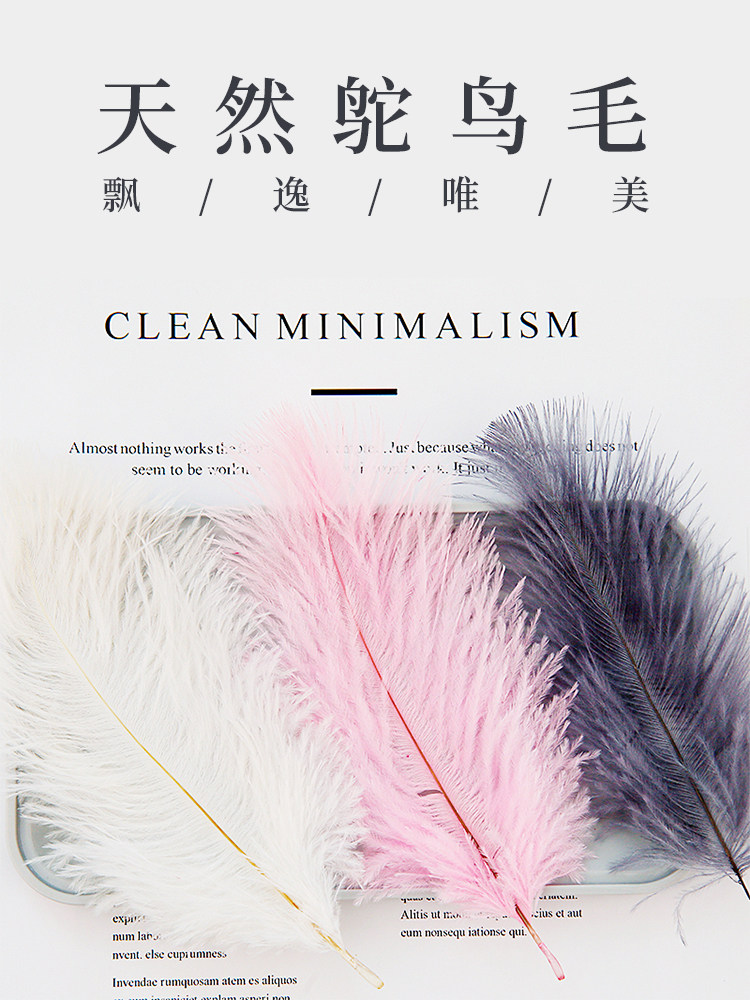 White Ostrich hair feather ins photo props ornaments Nail art hand girl cosmetics shooting background