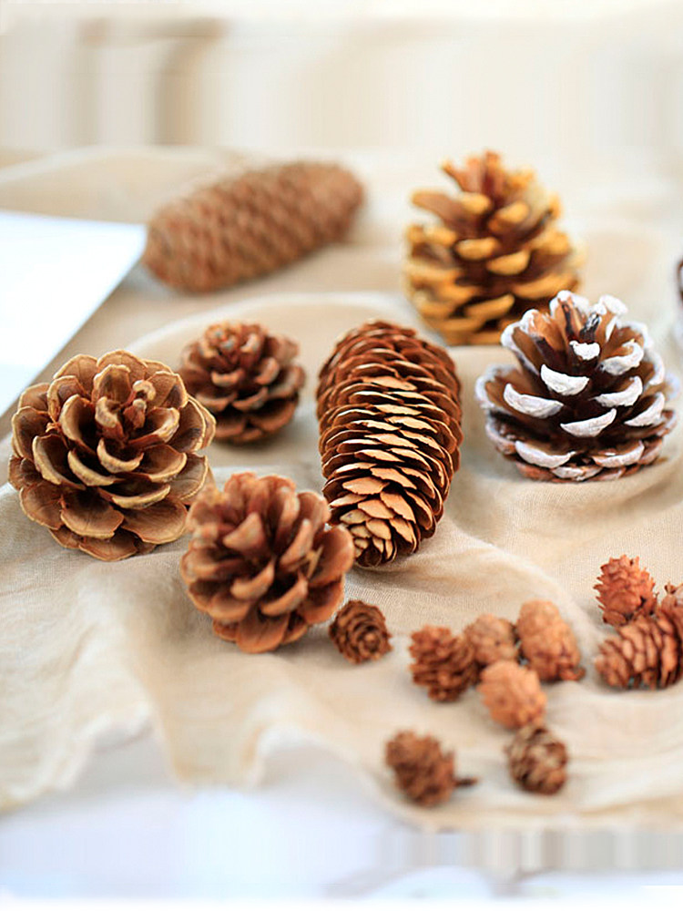 Natural pine cones shooting props background Home accessories Christmas decoration Pine Tower Larch photo props