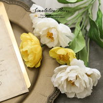 Simulation of Flower Beauty photo props photography decoration pendulum ornaments gourmet Net red ins ornaments shooting background