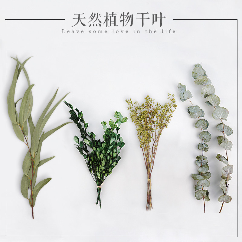 Natural plant dry flower photo props ornaments green plant shooting props posing decorative photography props background