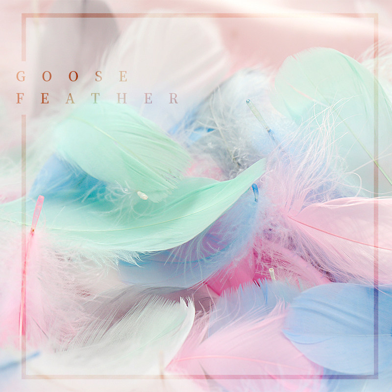 White goose feather feather props decoration ins nail art photo props ornaments cosmetics shooting background