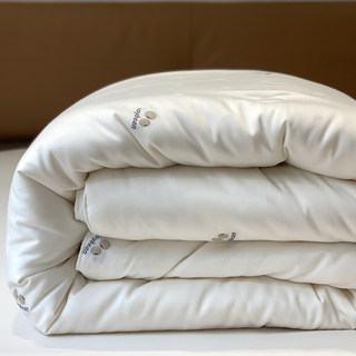 Light Luxury and High-End Feel, Soybean Fiber Quilt Core, Double Spring and Autumn Quilt, Thickened Warm Winter Quilt, Two-In-One Quilt