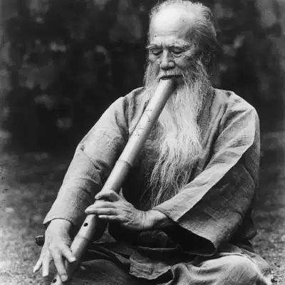 Brand new Japanese Shakuhachi void void Comet void Hao Puhua Zonggu School void duo Long tube light undercurrent