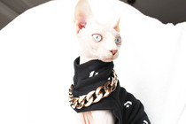 Hairless cat collar Sphinx cat bow tie Gold chain exaggerated net red ins wind