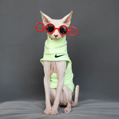 Индивидуальные Safincs безволосы