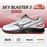 71GA234503 SKY BLASTER 3