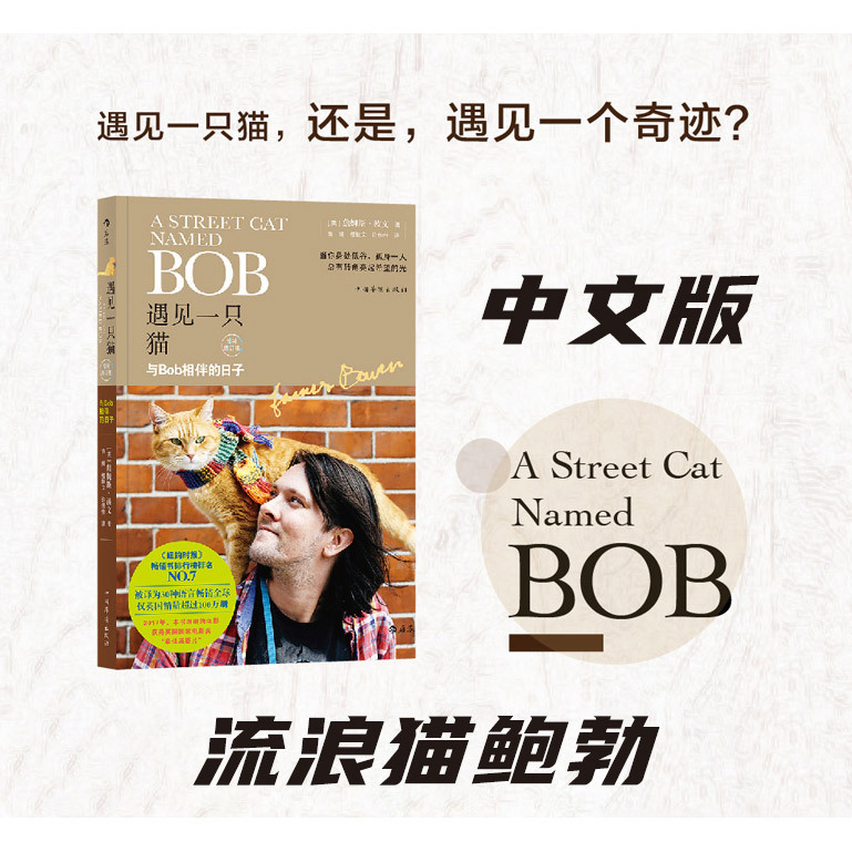 Houlang Genuine Edition: Meeting a Cat, Days with Bob, Stray Cat Bob, Chinese Version, James Bowen, London Street Cat Stories, When Bob Knocked on the Door, Heartwarming Inspirational Reading for Life Growth