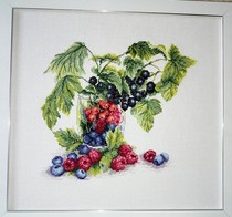 Cross stitch source file cup fruit series Grape raspberry red fruit Blueberry not batch