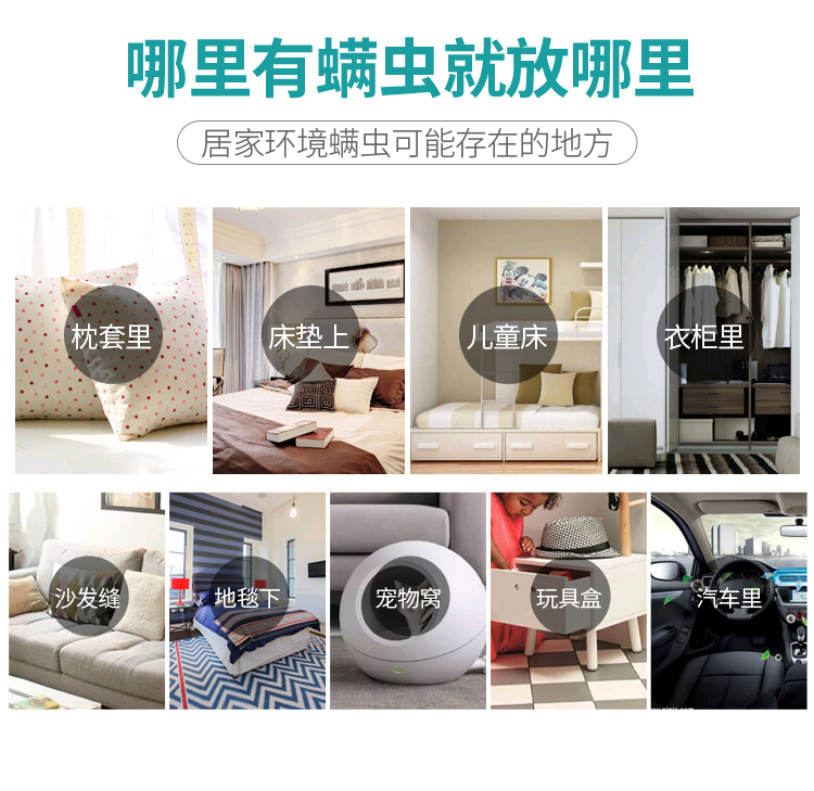 bình xịt muỗi xịn Châu chấu hoang dã Nhật Bản dán lên ve, ve, dán, giường gia đình, chăn, mạt, thuốc chống côn trùng - Thuốc diệt côn trùng thuốc xịt muỗi raid