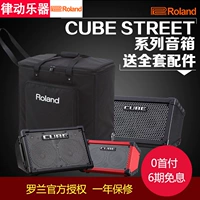 Loa guitar gỗ Roland CUBE STREET EX hát loa đường phố ngoài trời bài hát dân gian âm thanh di động - Loa loa loa yamaha