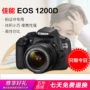 Máy ảnh DSLR Canon / Canon EOS 1200D Máy ảnh DSLR 1500D 1100D 1300D - SLR kỹ thuật số chuyên nghiệp may anh canon