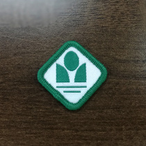 Shenzhen secondary school badge (full of 100 each blouse to give a school badge one)