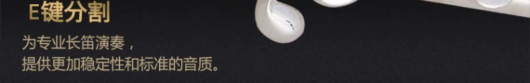 Nhạc cụ Heng Yun sáo sáo sáo mạ bạc C thẳng đôi phụ kiện nhập khẩu bảo hành trọn đời - Nhạc cụ phương Tây kèn sắc xô phôn