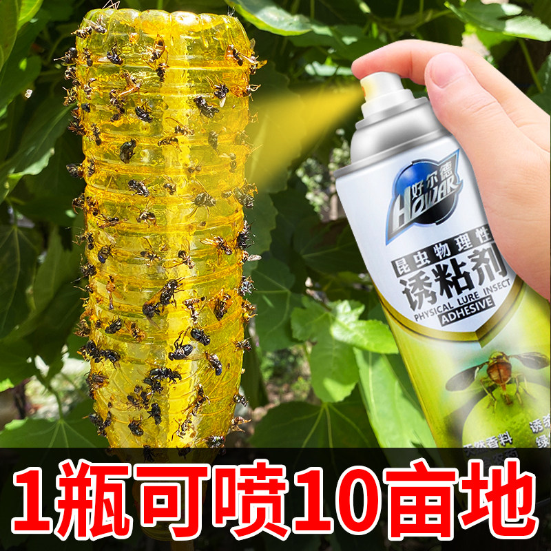 Guang fruit fly fruit fruit fruit fly pest fly plate acupuncture trap