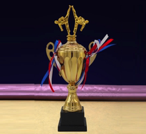 Trophy custom Full metal trophy Martial arts kickboxing competition trophy Alloy trophy Karate custom