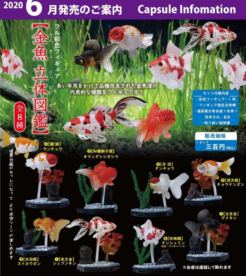 现货beam 立体金鱼图鉴金鱼模型兰寿鎏金模型扭蛋