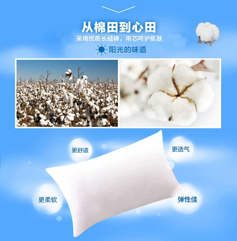 Beiji Rồng rửa bông gối Gối Gối đơn lớn khách sạn sinh viên một cặp đánh bại hai chính hãng - Gối
