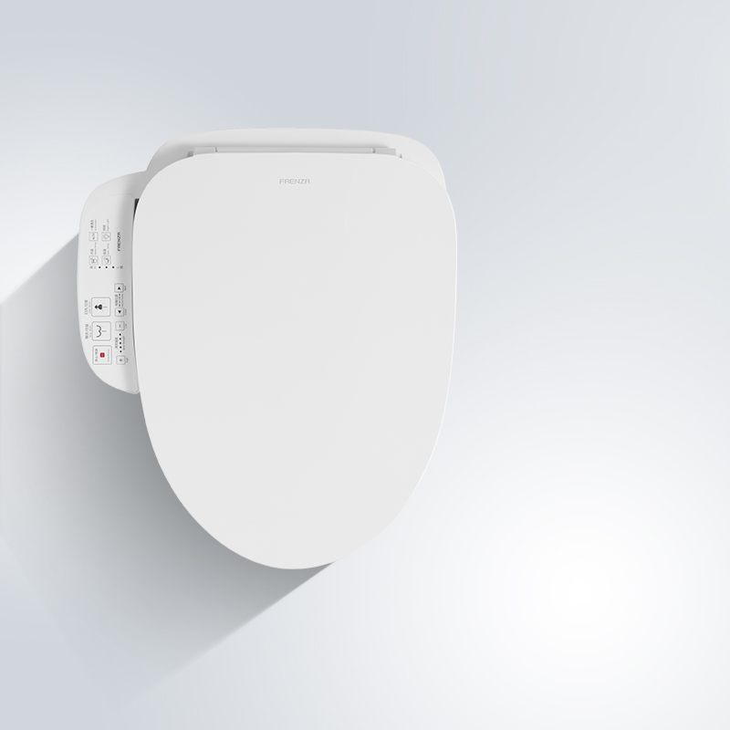 Farnsha Fleur Hot And Hot Massage Electric Cleaning Woman Wash Drying Smart Horse Lid Board Luxury version FGB018