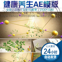 Chinese medicine health care AE title template high-end atmospheric ink Chinese style Chinese medicine Chinese medicine health care AE