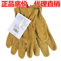 Witz 10-2064 argon arc welding gloves short cowhide wear-resistant welder labor protection handling driving gloves