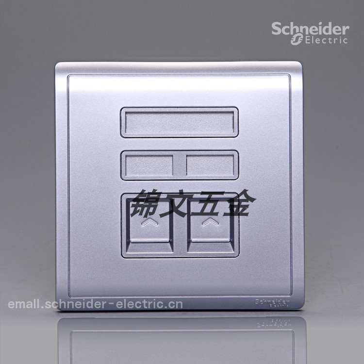 Schneider Fonchon Series Lavender Silver Color E8232TDRJS_5_LS Phone Computer Socket
