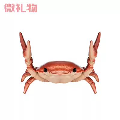 Japan ahnitol weightlifting crab pen holder stand pen holder INS net celebrity glasses shelf desktop creative small ornaments