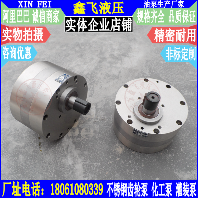 CBA - B80 CB - BNS 80 Corrosion resistant acid - base stainless steel pump chemical pump gear oil pump head
