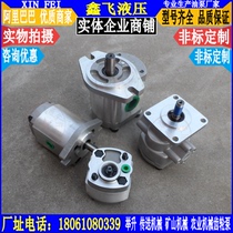 RGP-F201R F202R F203R F204R F205R F206R F208R-12 L-12 gear pump