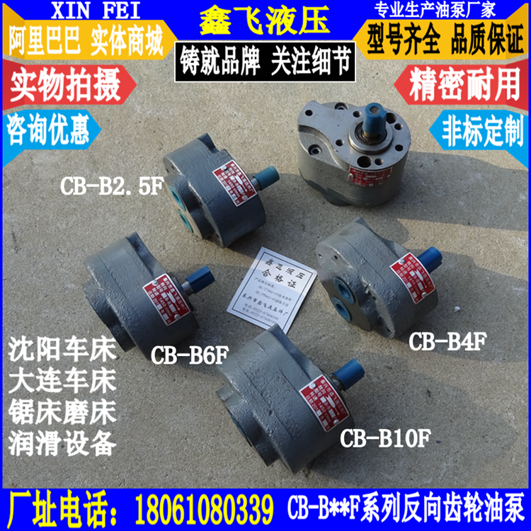 CW6163B CW6180 CW6280 Dalian Anyang Shenyang CB-B4F B10F B6F Lathe Oil Pump FTH