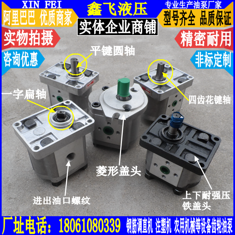 High pressure gear pump CBHT-E310-BFHL steel bar straightening shearing machine pump CBT-E310 hydraulic oil pump FER2