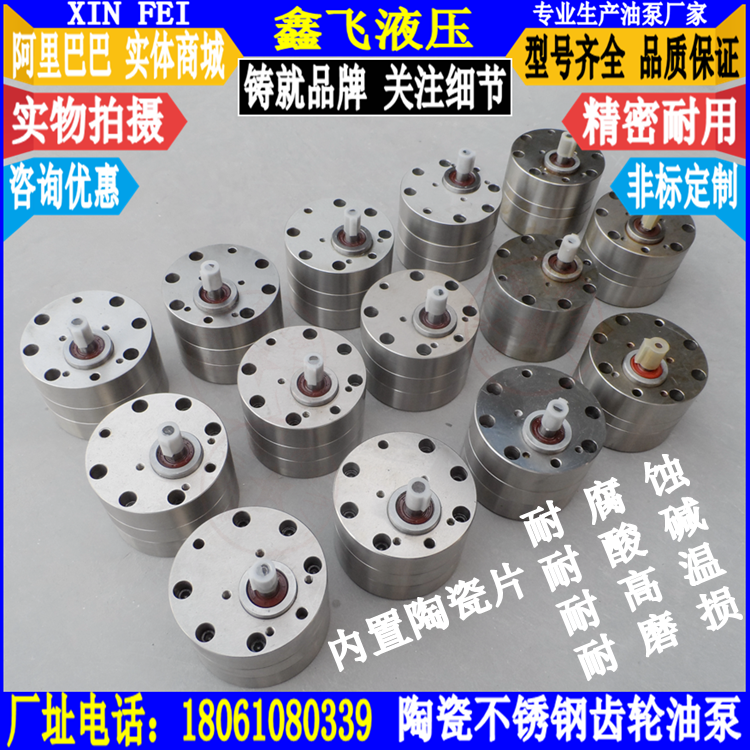 B6 ceramic stainless steel gear pump B4 corrosion resistant oil pump CB-BDG2 5 acid pH BNS1 food grade filling pump