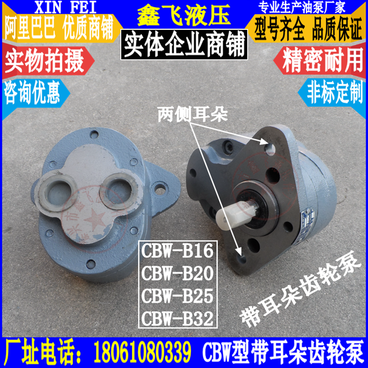 CBW-B25 TCBW-B32 ZCBW-B25 CB-B25-D with lug gear oil pump hydraulic oil pump