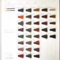 PALA scum female dye Paladye cream multicolored step in place