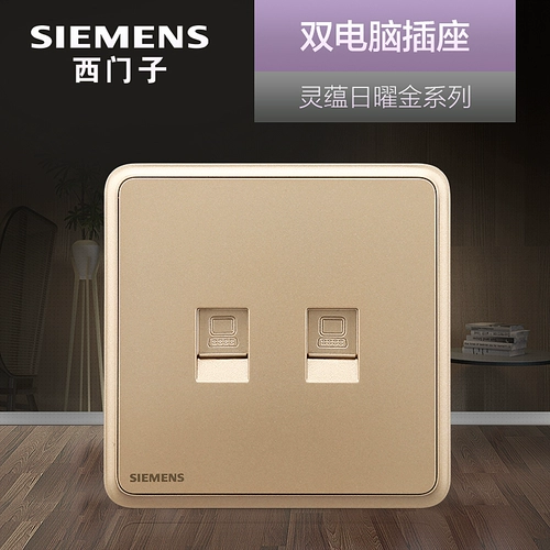 Siemens Dual Computer Computer Six -Type Panel Panel Lingjin Jinjin 86 -тип. Использование темного установки сетевого кабеля