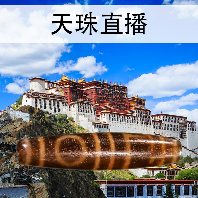 Tibetan Skybead to Pure Tiger Tiger Tooth Three Eye Manau Ta Shoga Temple for Natural True Live Broadcast