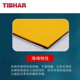 Германия Тибхар в вертикальном положении 5Q Poly Energy 5QVIP настольный теннис