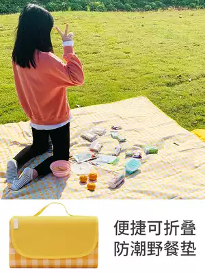 Picnic mat portable padded outing outdoor travel spring outing tent mat floor mat ins Wind waterproof cold moisture mat