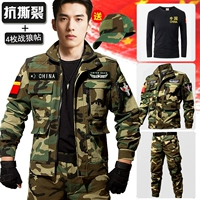 Зеленый камуфляж + наклейки с изображением военного 𢧐 волка 4 шт. + черная футболка 803 + шапка